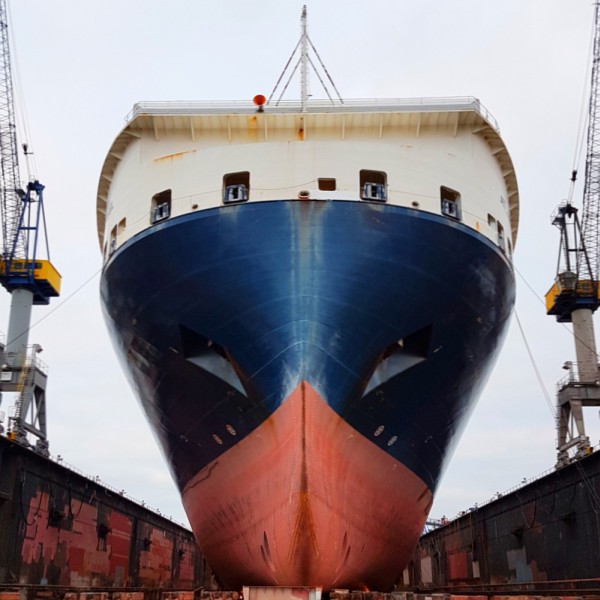 Bild Stadtführung Hamburg ConRo-Frachter im Dock Hamburger Hafen