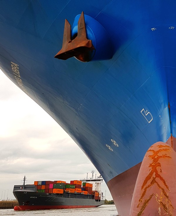 Bild Stadtführung Hamburg zwei Containerfrachter am Terminal Tollerort